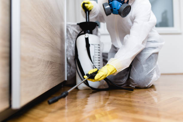 Best Residential Pest Control  in Clearfield, PA