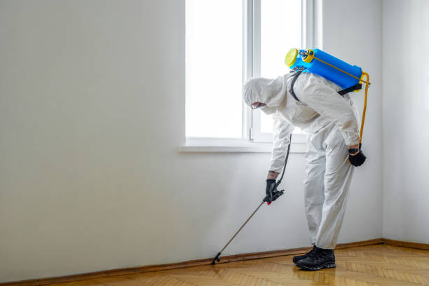 Best Pest Control Near Me in Clearfield, PA