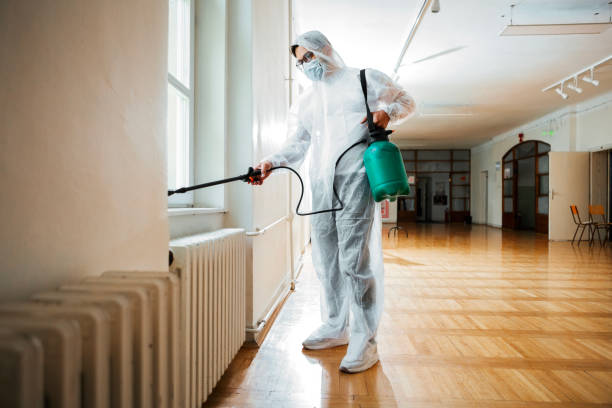 Best Flea Control Services  in Clearfield, PA